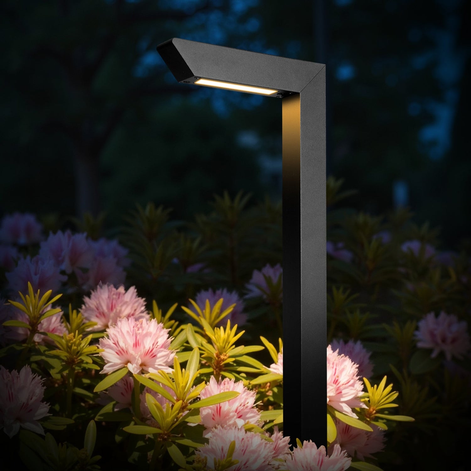 How to Install Low Voltage Path Lights: A Complete DIY Guide